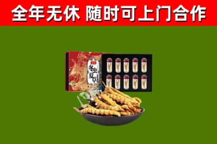 宝丰烟酒回收冬虫夏草礼盒.jpg